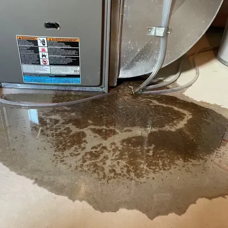 Appliance Leak Cleanup in Jefferson City, MO